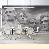 revêtement de mur panoramique